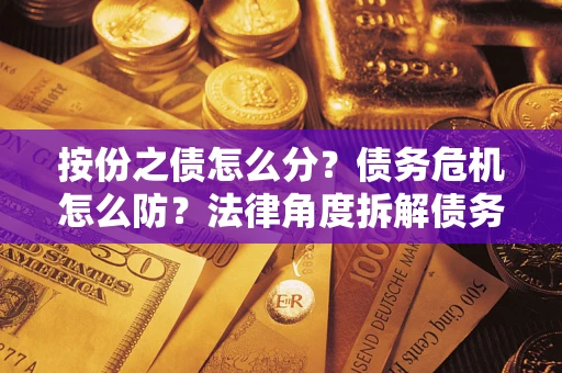 北京按份之债怎么分？债务危机怎么防？法律角度拆解债务分配与风险自保指南