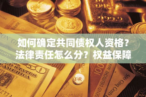 北京如何确定共同债权人资格？法律责任怎么分？权益保障技巧揭秘！