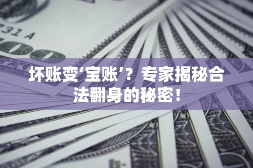 北京坏账变‘宝账’？专家揭秘合法翻身的秘密！