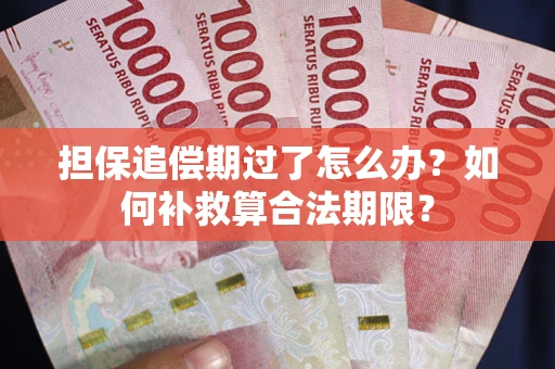 北京担保追偿期过了怎么办？如何补救算合法期限？