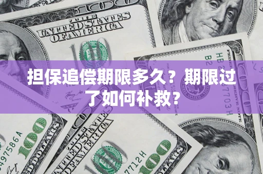 北京担保追偿期限多久？期限过了如何补救？
