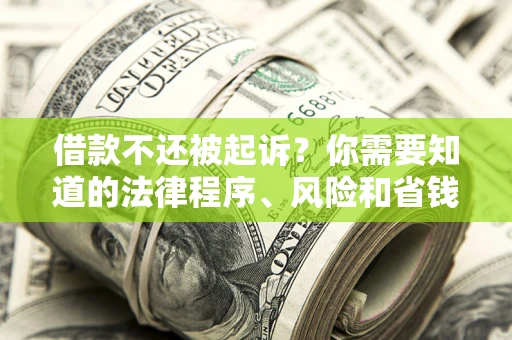 北京借款不还被起诉？你需要知道的法律程序、风险和省钱技巧