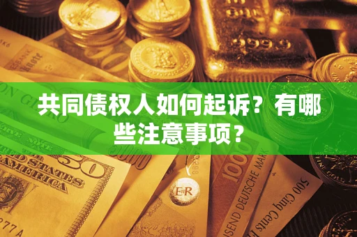北京共同债权人如何起诉？有哪些注意事项？